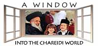 A Window into the Chareidi World